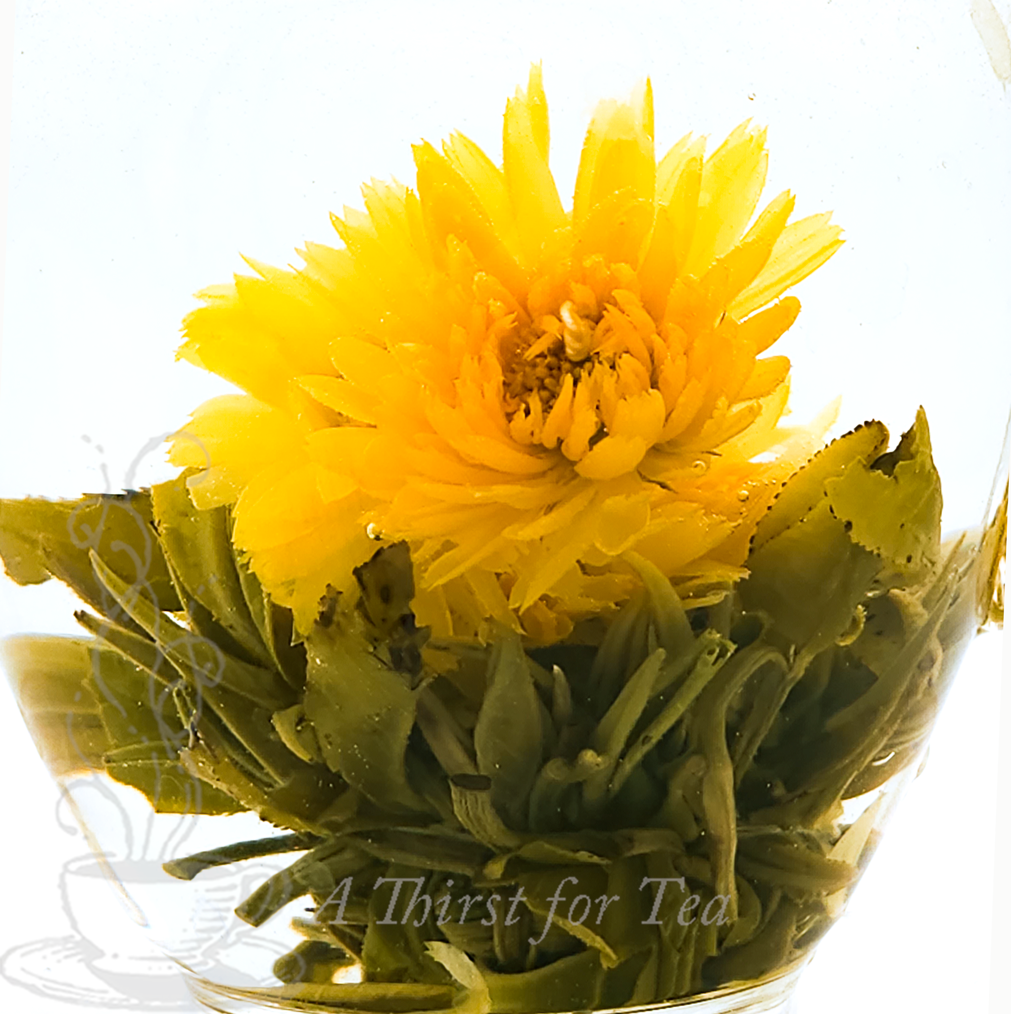 Golden Flower Stunning Golden Flowers Pop Against A Simple Vectors White  main image 4
