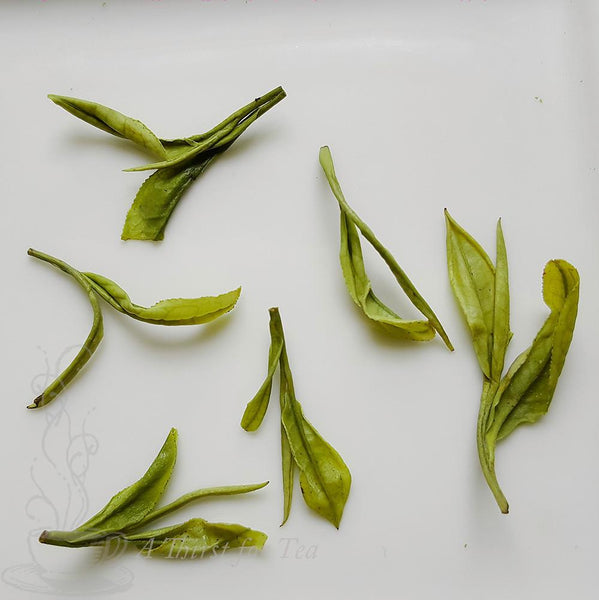 Anji Bai Cha 2017 1st Flush Whole Leaf Chinese Green Tea dry leaf close-up picture
