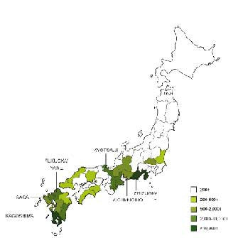Teas of Japan: Tea Tasting Package