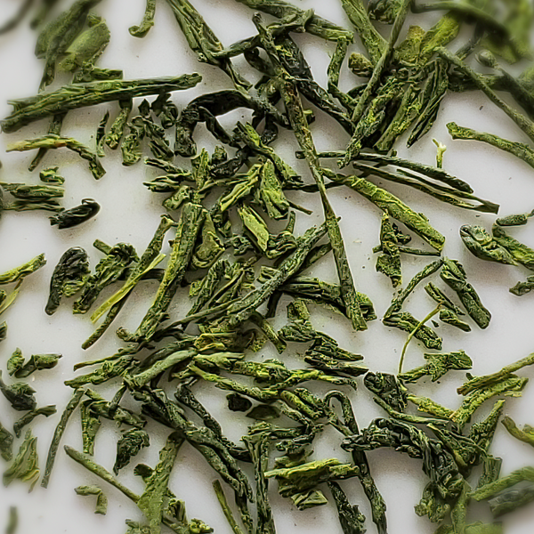 Sen Cha, Organic Matcha Infused
