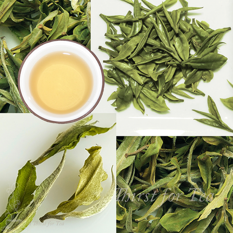 Arya Pearl, 2017 Organic, Whole Leaf Darjeeling White Tea
