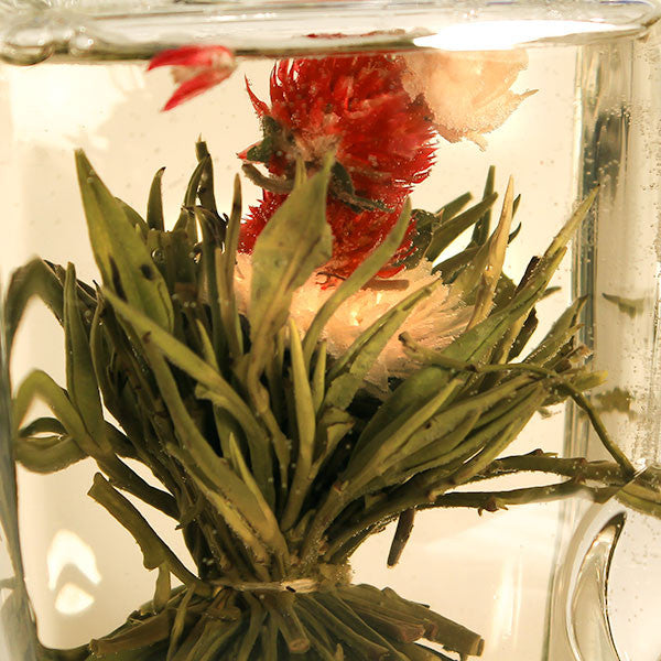 Spring Scenery Blooming Tea