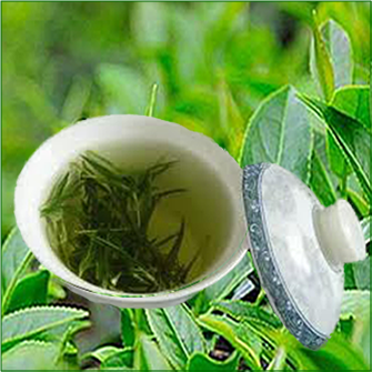 Shades of Green Tea Tasting