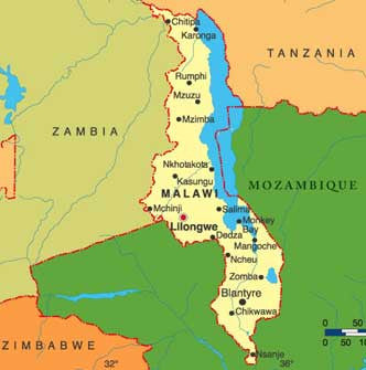 Teas of Africa -- Malawi: Tea Tasting Package