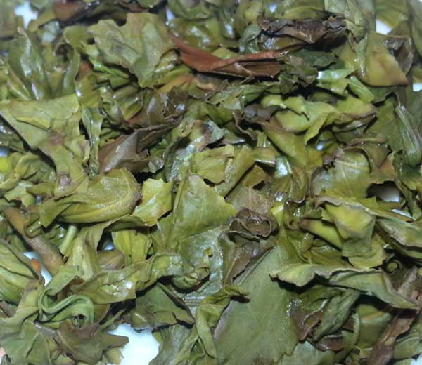 Gunpowder, Royal Ceylon Gunpowder Green Tea