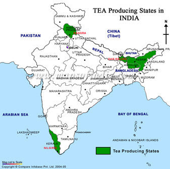 Teas of India: Tea Tasting Package