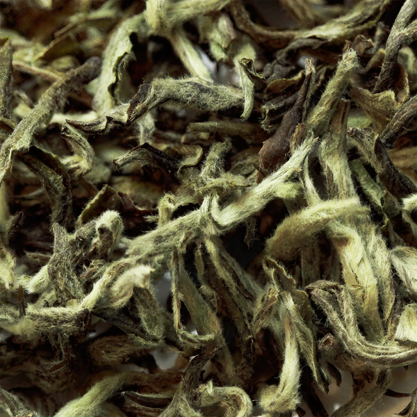 White Moonlight, Organic Nepali White Tea
